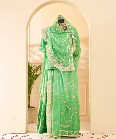 Tari Jaal Work Shaded Green Poshak