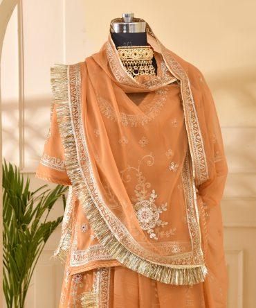 Aari Work Peach Poshak