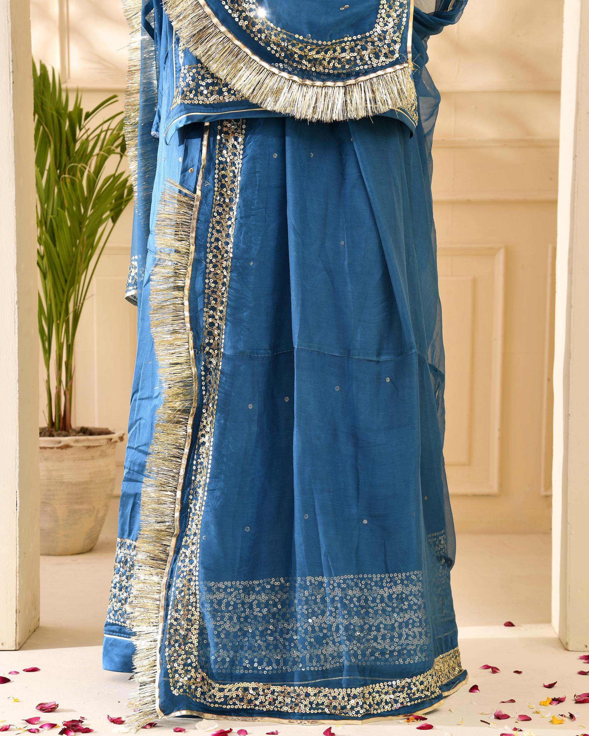 Aari Tari Border Work Sky Blue Poshak - Image 4