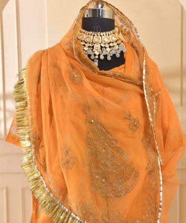 Aari Work Kesriya Poshak